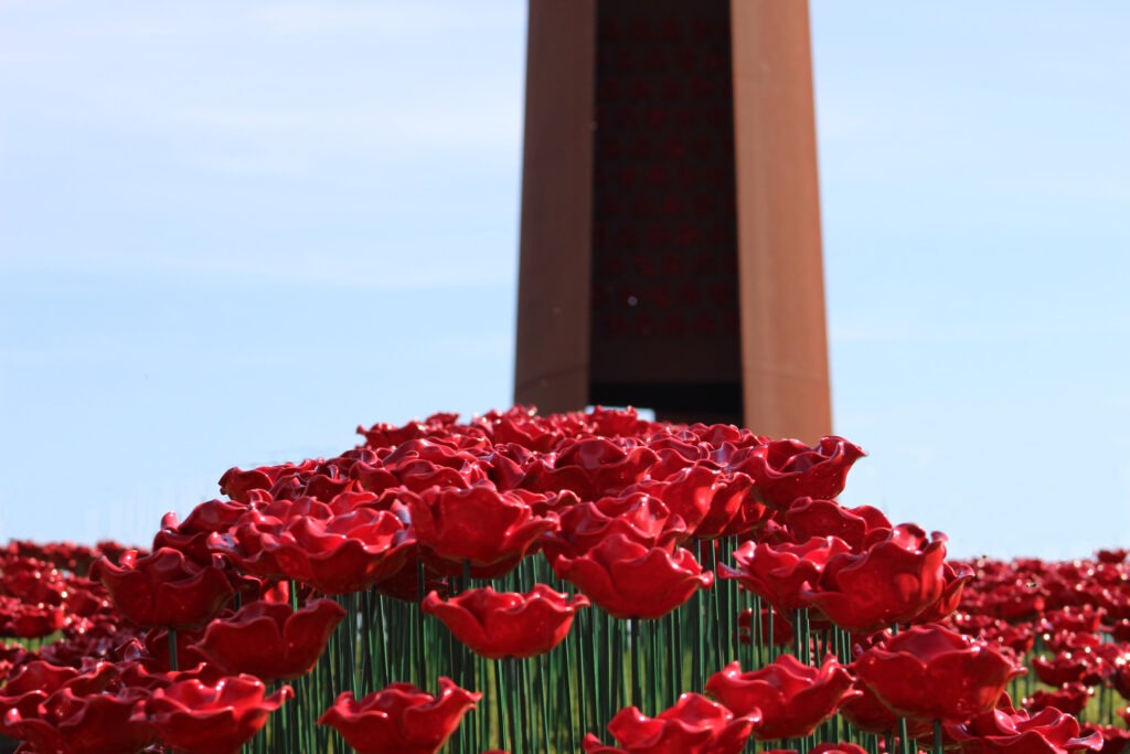 colour photo of red poppies beside a copper memorial
