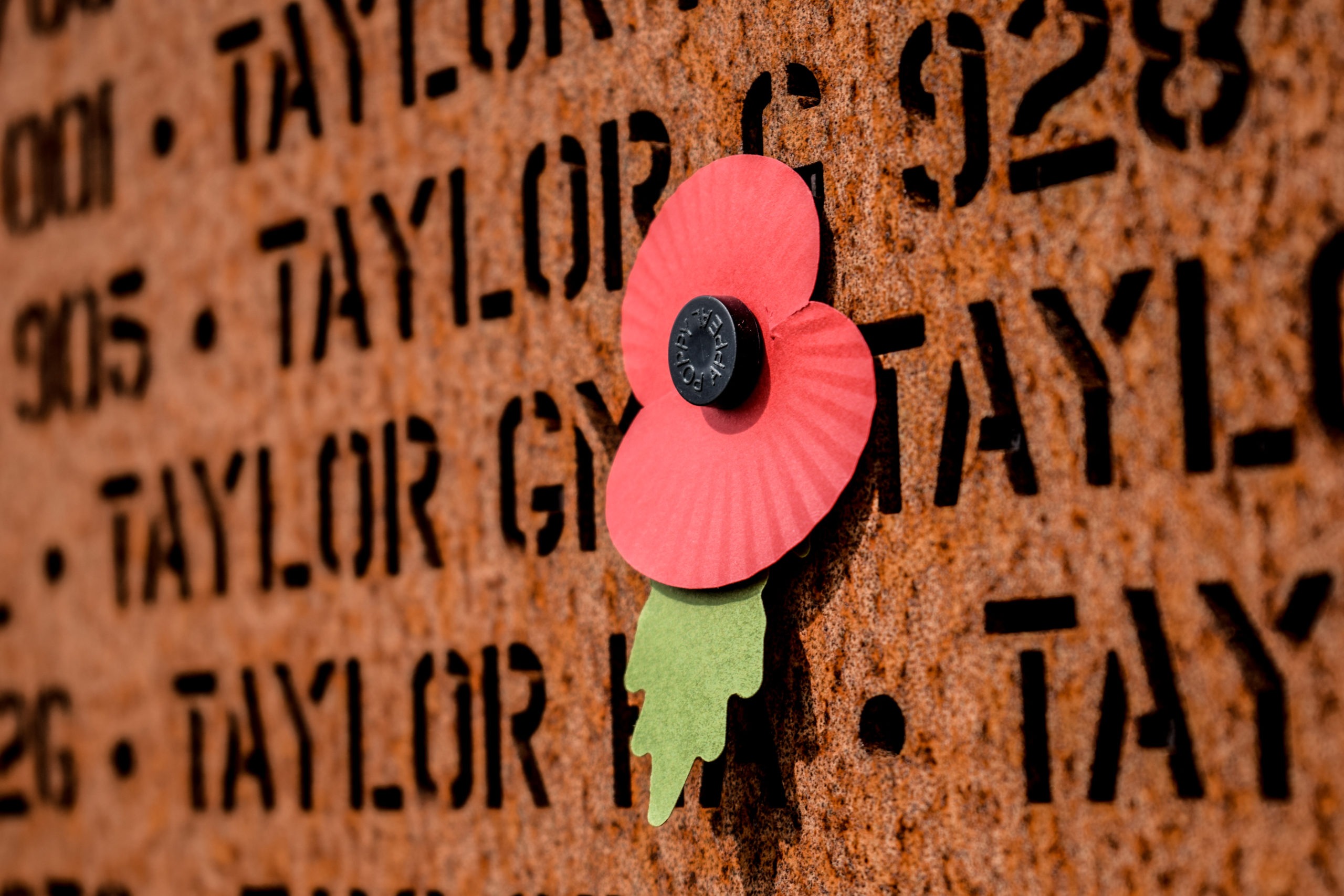 Colour picture of a commemorate poppy placed by a name